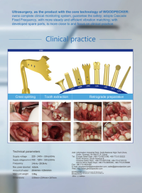 ultrasurgery1 ultrasurgery1 woodpecker ultra surgery
